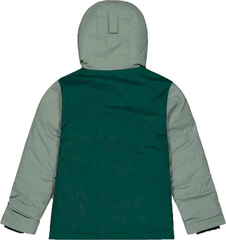 Picture Organic Clothing Olyver Jacket Pdrsa Pine Lwreath Gold Picture Organic Clothing