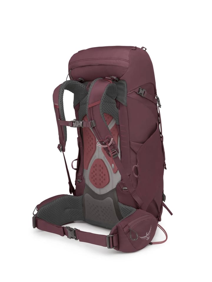 Osprey Kyte 38 Elderberry Purple Osprey