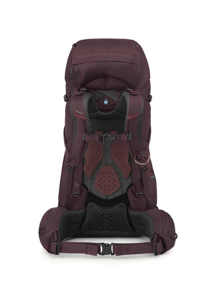 Osprey Kyte 58 Elderberry Purple Osprey