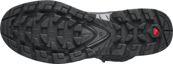 Salomon Men's Quest 4 Gore-Tex Magnet/Black/Quarry Salomon