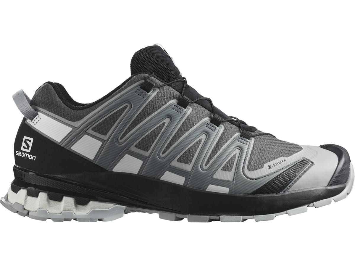 Salomon Xa Pro 3d V8 Gtx Magnet/Stormy Weather/White