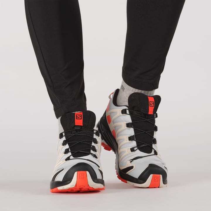 Salomon Women's XA Pro 3D V8 GORE-TEX Lunar Rock/Cherry Tomato/Sun Kiss Salomon