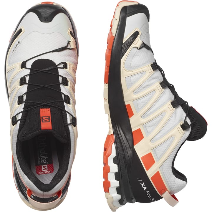 Salomon Women's XA Pro 3D V8 GORE-TEX Lunar Rock/Cherry Tomato/Sun Kiss Salomon