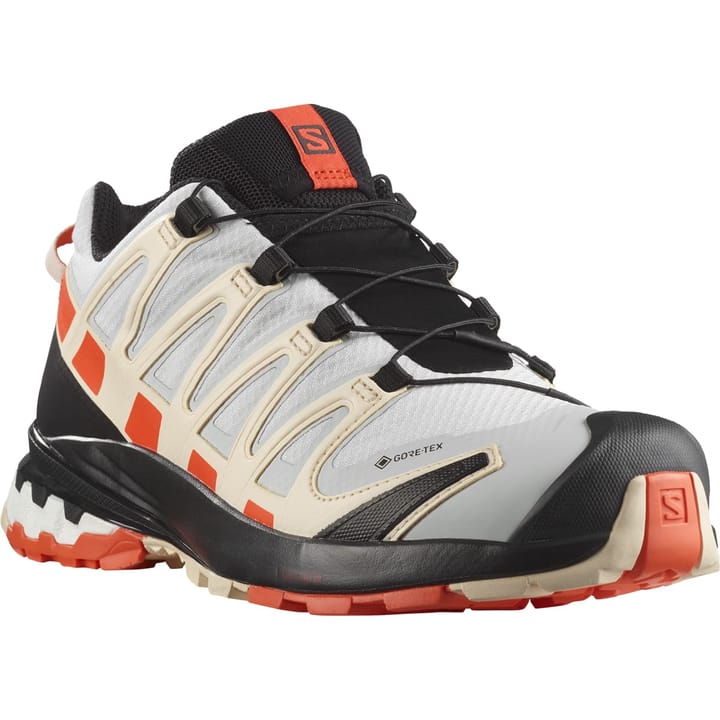 Salomon Women's XA Pro 3D V8 GORE-TEX Lunar Rock/Cherry Tomato/Sun Kiss Salomon