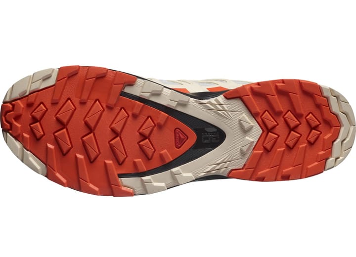 Salomon Women's XA Pro 3D V8 GORE-TEX Lunar Rock/Cherry Tomato/Sun Kiss Salomon