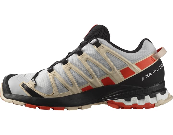 Salomon Women's XA Pro 3D V8 GORE-TEX Lunar Rock/Cherry Tomato/Sun Kiss Salomon