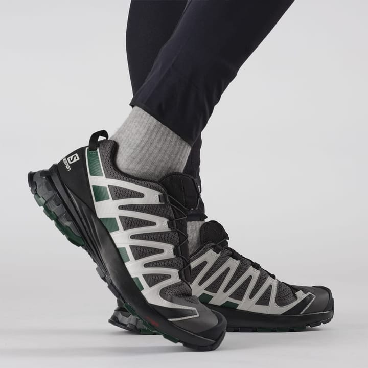 Salomon Xa Pro 3d V8 Magnet/Lunar Rock/Scarab Salomon
