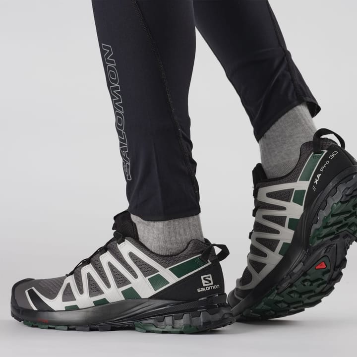 Salomon Xa Pro 3d V8 Magnet/Lunar Rock/Scarab Salomon