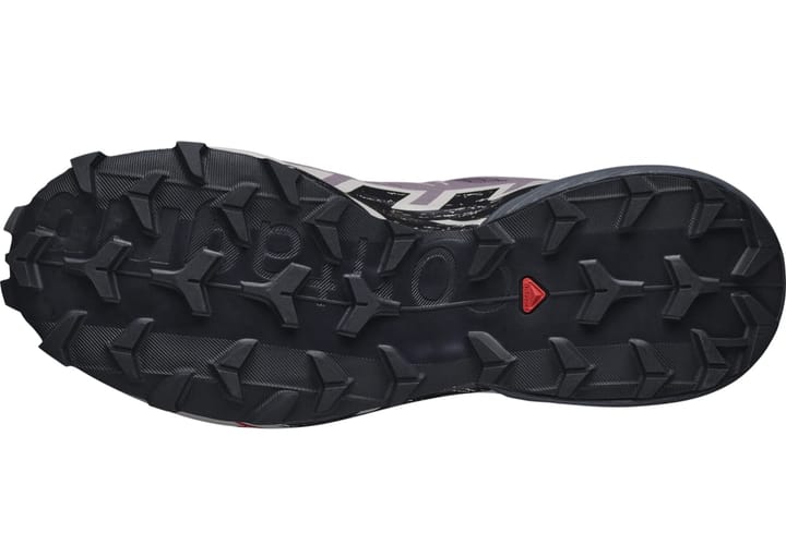 Salomon Speedcross 6 W Moonscape/Black/Ashes Of Roses Salomon