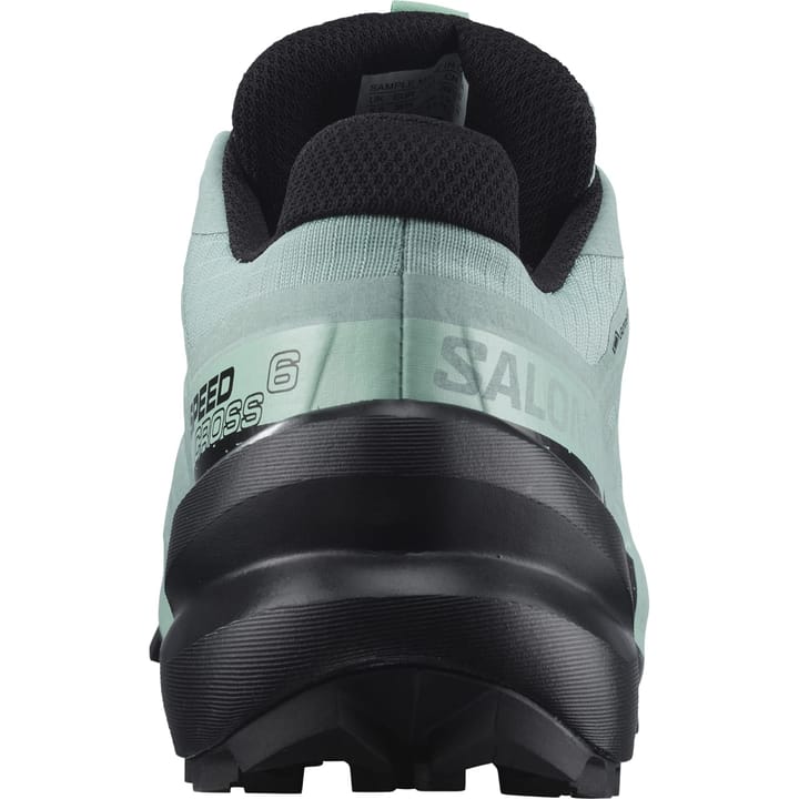 Salomon Women's Speedcross 6 GORE-TEX Aquifer/Black/Yucca Salomon