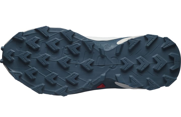 Salomon Women's Supercross 4 GORE-TEX Stone Blue/Lunar Rock/Stargazer Salomon