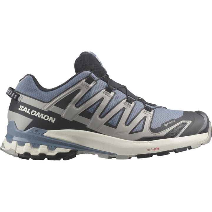 Salomon Men's XA Pro 3D V9 GORE-TEX Flint Stone/Black/Ghost Gray Salomon