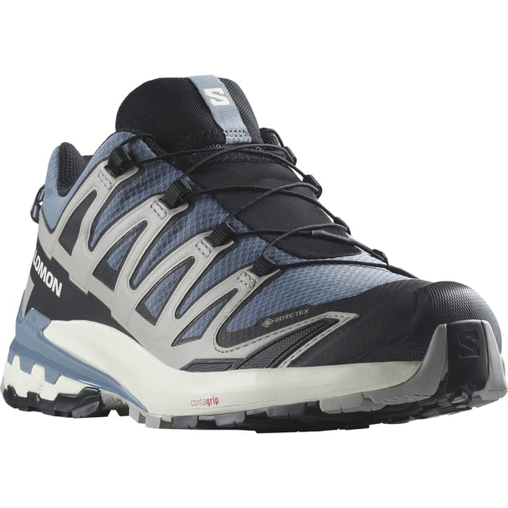 Salomon Men's XA Pro 3D V9 GORE-TEX Flint Stone/Black/Ghost Gray Salomon