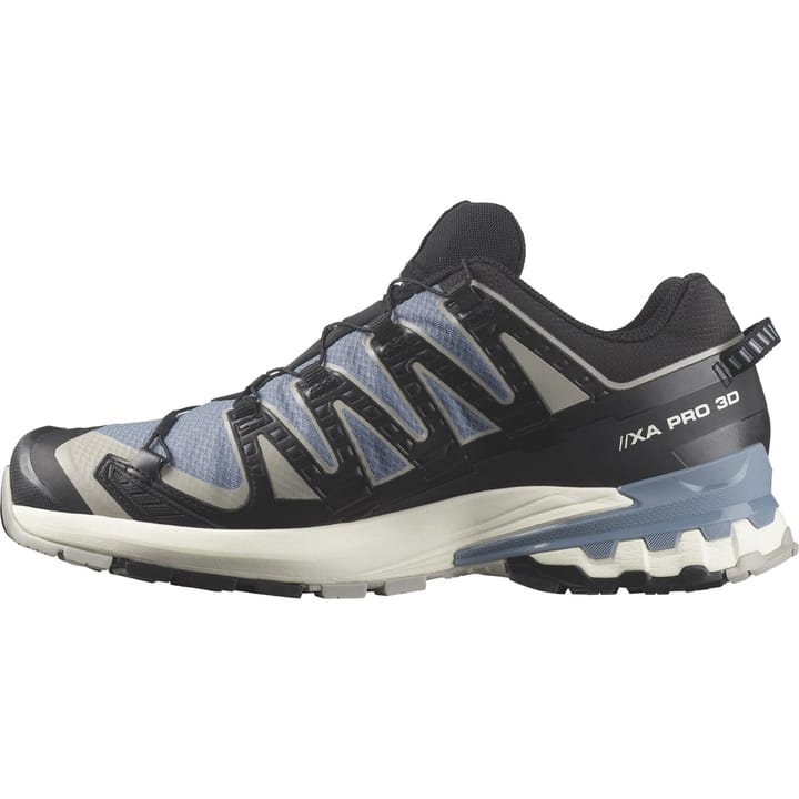 Salomon Men's XA Pro 3D V9 GORE-TEX Flint Stone/Black/Ghost Gray Salomon