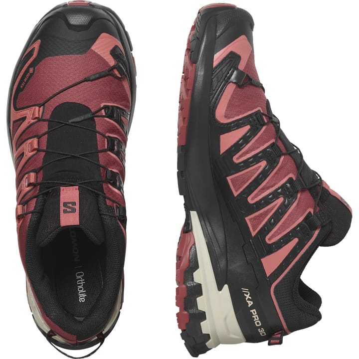 Salomon Women's XA Pro 3D V9 GORE-TEX Cow Hide/Black/Faded Rose Salomon