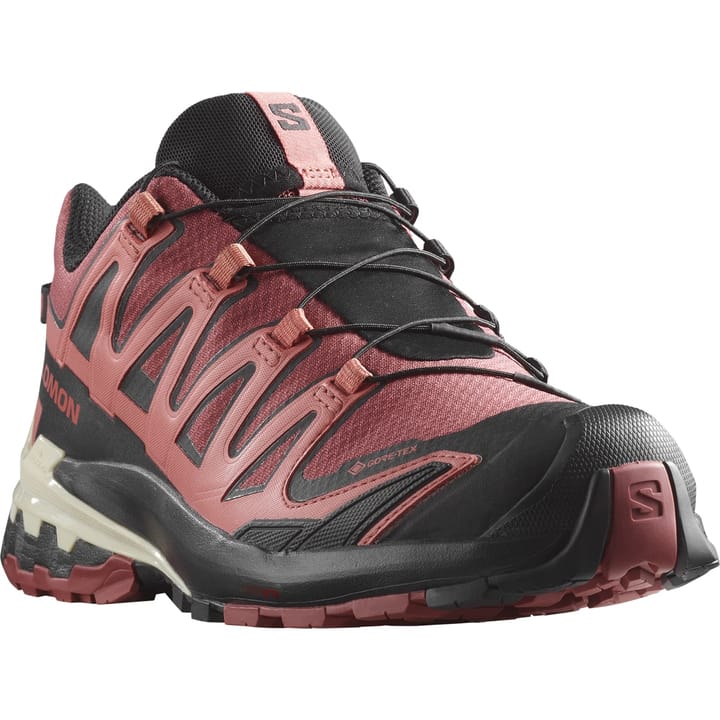 Salomon Women's XA Pro 3D V9 GORE-TEX Cow Hide/Black/Faded Rose Salomon