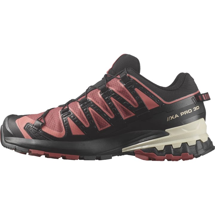 Salomon Women's XA Pro 3D V9 GORE-TEX Cow Hide/Black/Faded Rose Salomon