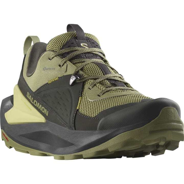 Salomon Men's Elixir GORE-TEX Black/Dried Herb/Southern Moss Salomon