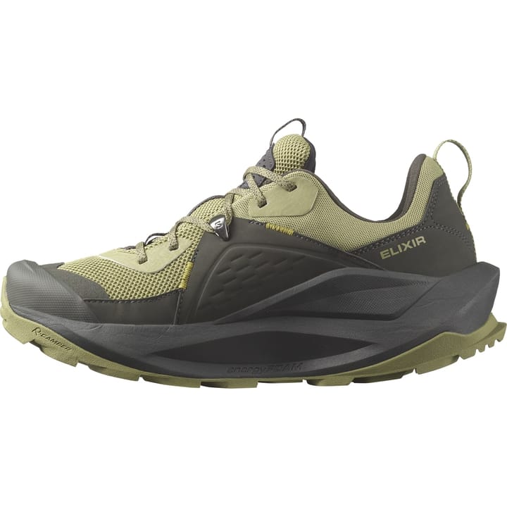 Salomon Men's Elixir GORE-TEX Black/Dried Herb/Southern Moss Salomon