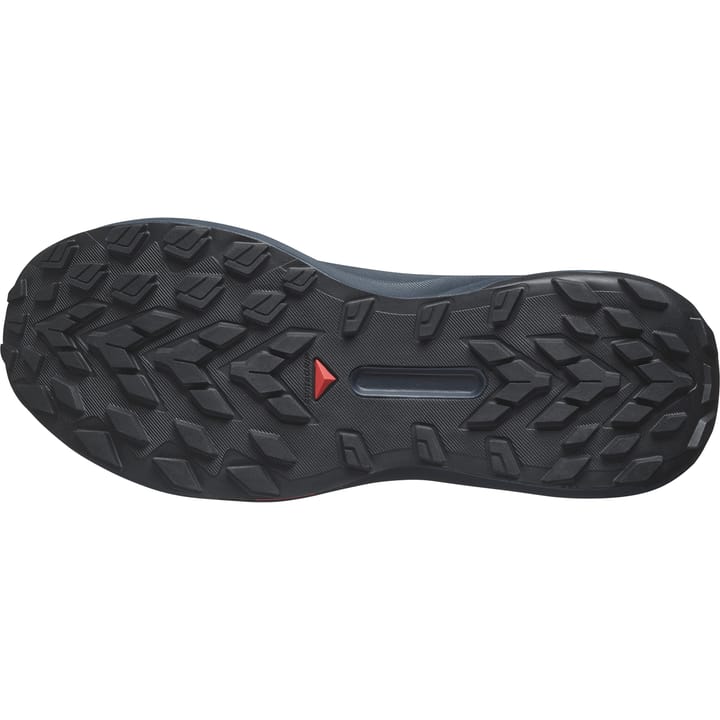 Salomon Genesis Carbon/Tahitian Tide/Quiet Shade Salomon