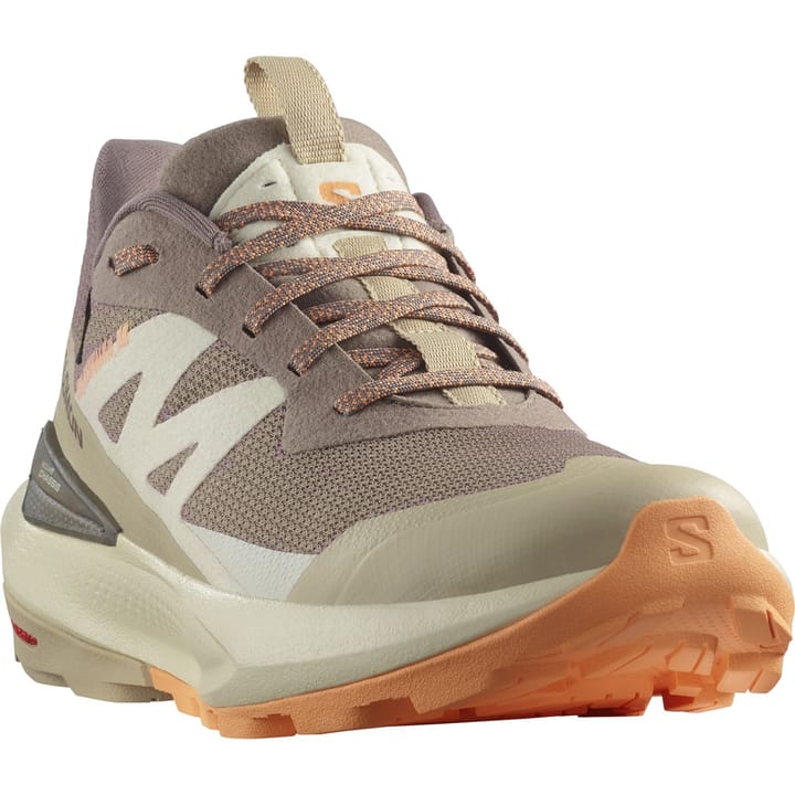 Salomon Elixir Activ Gore-Tex Falcon / White Pepper / Papaya Salomon