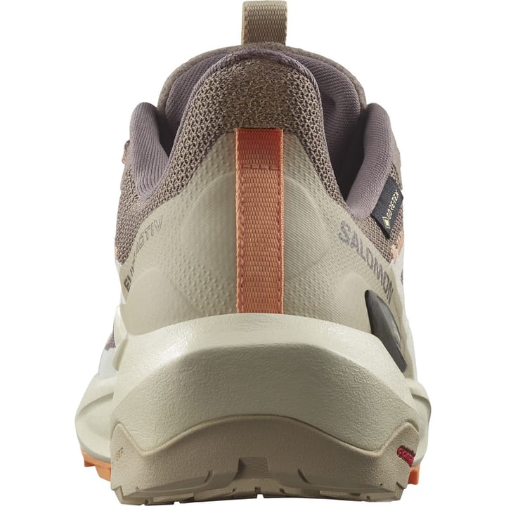 Salomon Elixir Activ Gore-Tex Falcon / White Pepper / Papaya Salomon