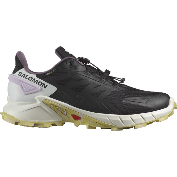 Salomon Supercross 4 Gore-Tex Black / Vanilla Ice / Orchid Petal Salomon