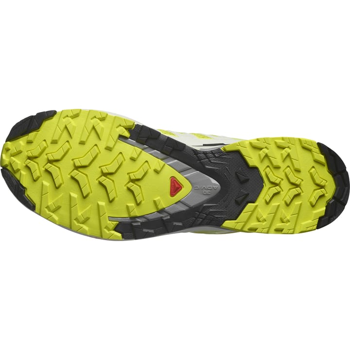 Salomon Men's XA Pro 3D V9 Sulphur Spring/Vanilla Ice/Sharkskin Salomon