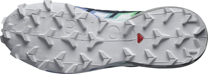 Salomon Women's Speedcross 6 GORE-TEX Carbon/Provence/White Salomon Salomon Women's Speedcross 6 GORE-TEX Carbon/Provence/White Salomon