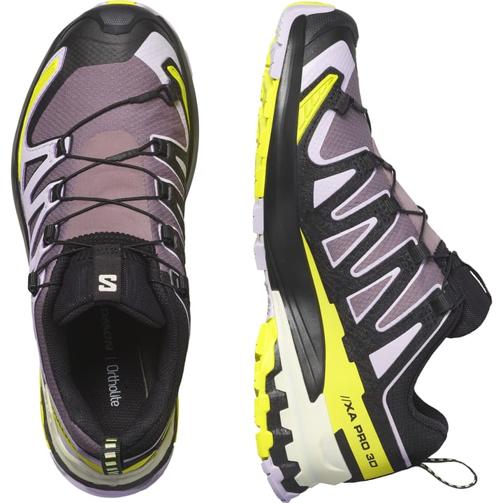 Salomon Women's XA Pro 3D V9 GORE-TEX Moonscape/Orchid Petal/Sulphur Spring Salomon