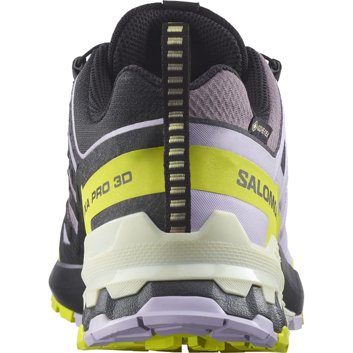 Salomon Women's XA Pro 3D V9 GORE-TEX Moonscape/Orchid Petal/Sulphur Spring Salomon