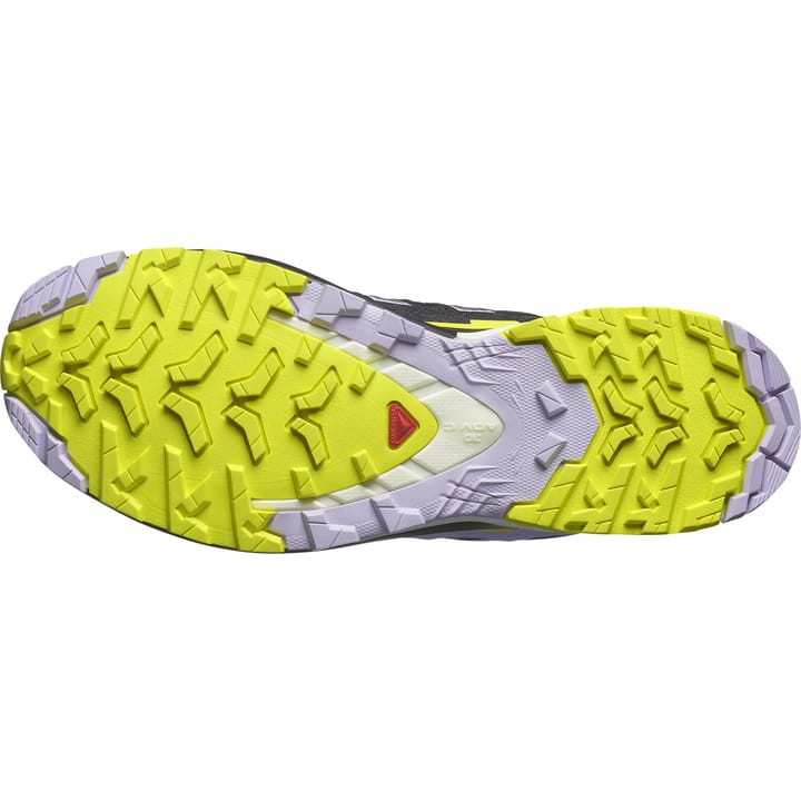 Salomon Xa Pro 3d V9 Gore-Tex Moonscape/Orchid Petal/Sulphur Spring Salomon