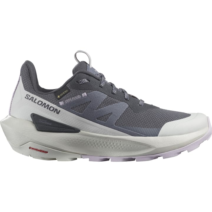 Salomon Elixir Activ Gore-Tex India Ink/Glacier Gray/Orchid Petal Salomon