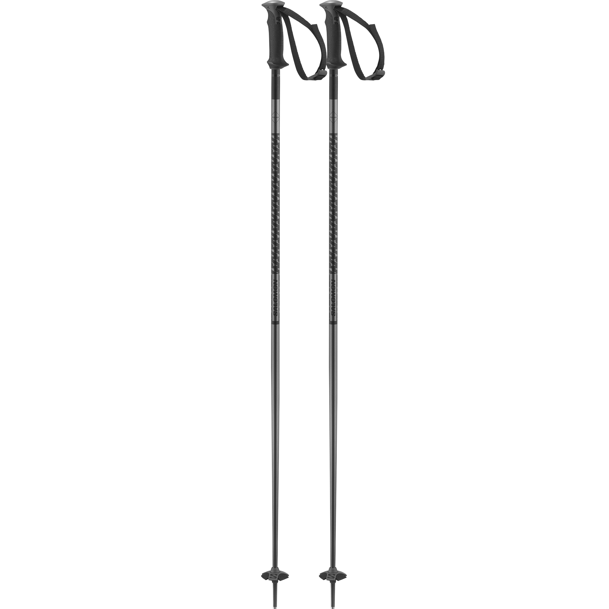 Salomon Polar