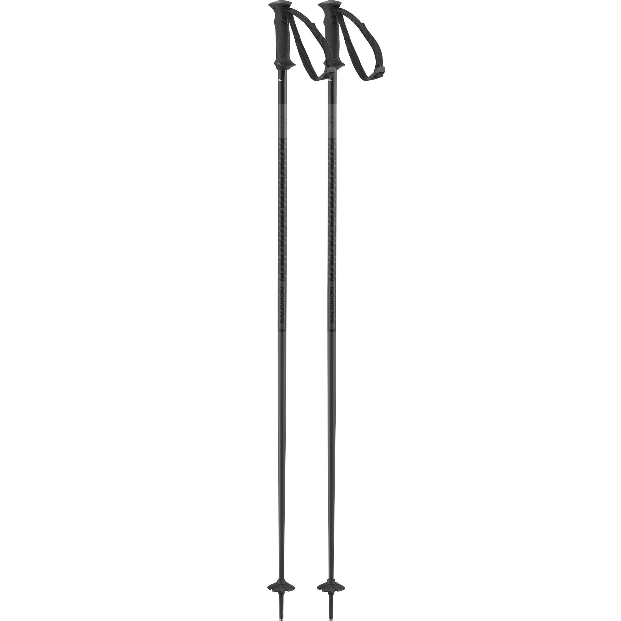 Salomon Polar Access