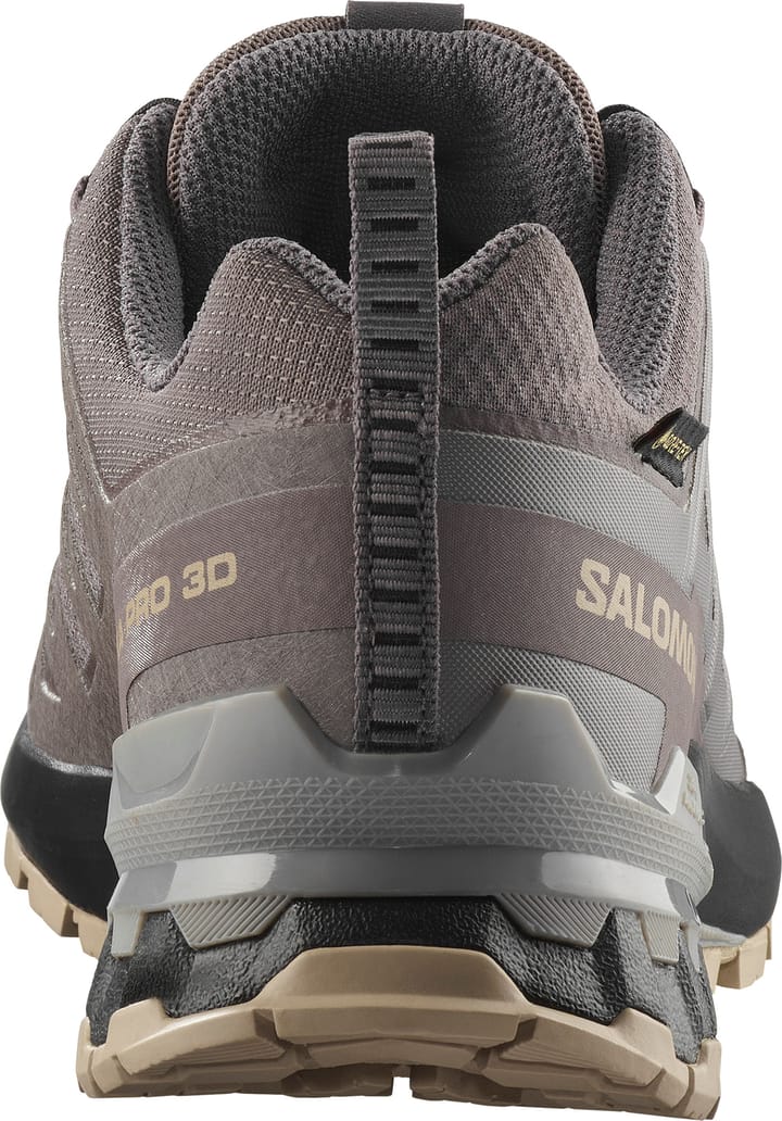 Salomon Women's XA Pro 3D V9 GORE-TEX Plum Kitten/black/gull Salomon