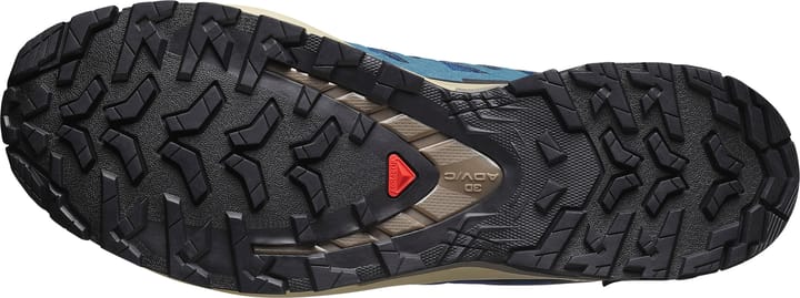 Salomon Men's XA 3D Pro V9 GORE-TEX Poseidon/white Pepper/falcon Salomon