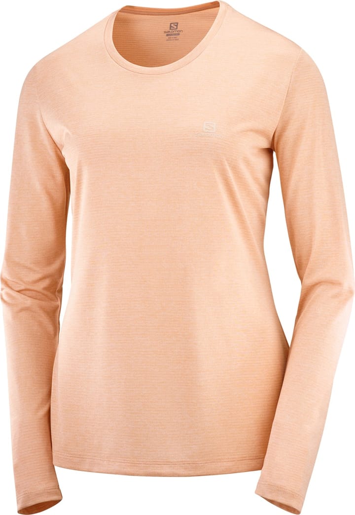 Salomon AGILE LS TEE W SIROCCO/SHELL/Heather Salomon Salomon AGILE LS TEE W SIROCCO/SHELL/Heather Salomon