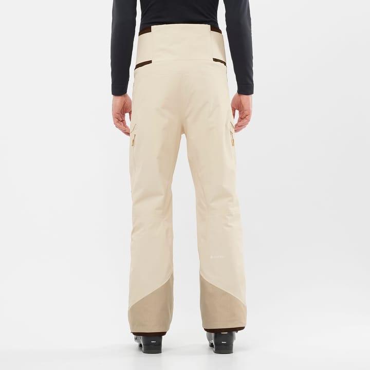 Salomon Men's Gravity GORE-TEX Pants Rainy Day Salomon