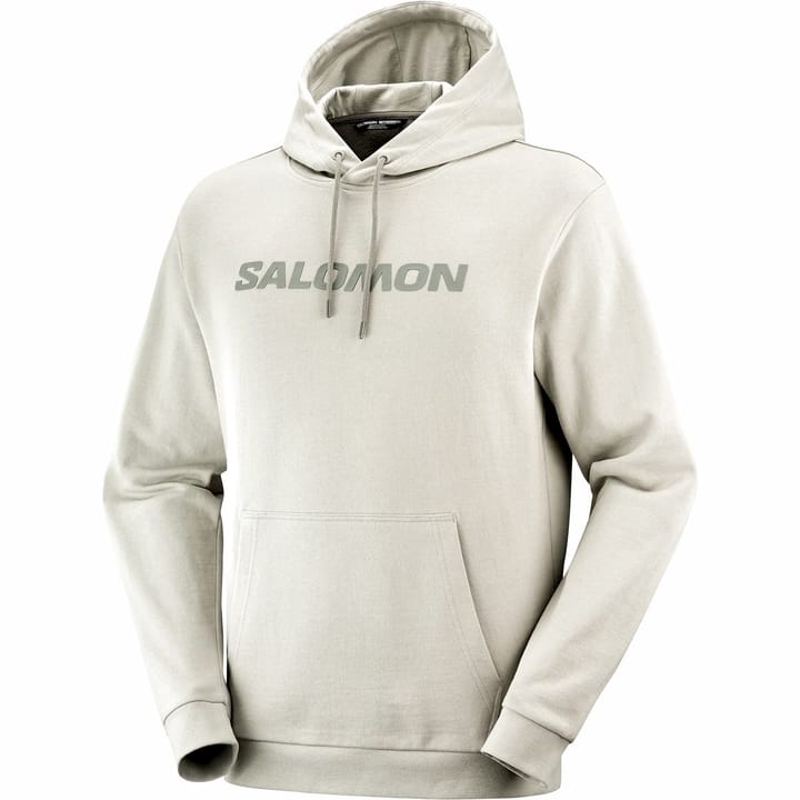 Salomon Outlife Logo Winter Hoody Wrought Iron/Sedona Sage/ Salomon
