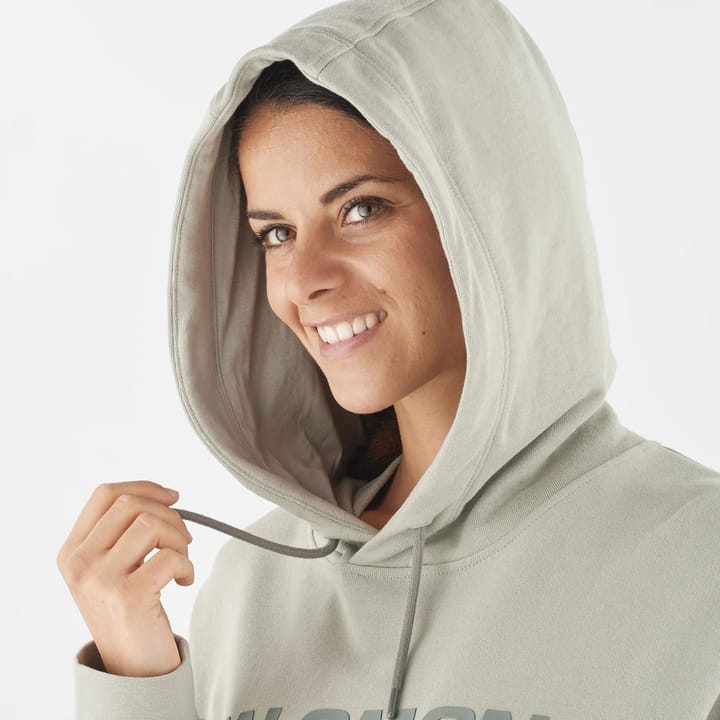 Salomon Unisex Outlife Logo Winter Hoody Wrought Iron/Sedona Sage Salomon Salomon Unisex Outlife Logo Winter Hoody Wrought Iron/Sedona Sage Salomon