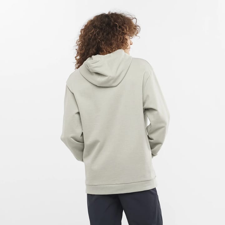 Salomon Unisex Outlife Logo Winter Hoody Wrought Iron/Sedona Sage Salomon Salomon Unisex Outlife Logo Winter Hoody Wrought Iron/Sedona Sage Salomon