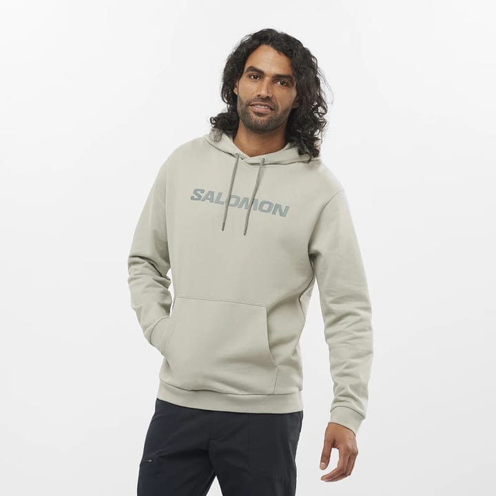 Salomon Unisex Outlife Logo Winter Hoody Wrought Iron/Sedona Sage Salomon Salomon Unisex Outlife Logo Winter Hoody Wrought Iron/Sedona Sage Salomon