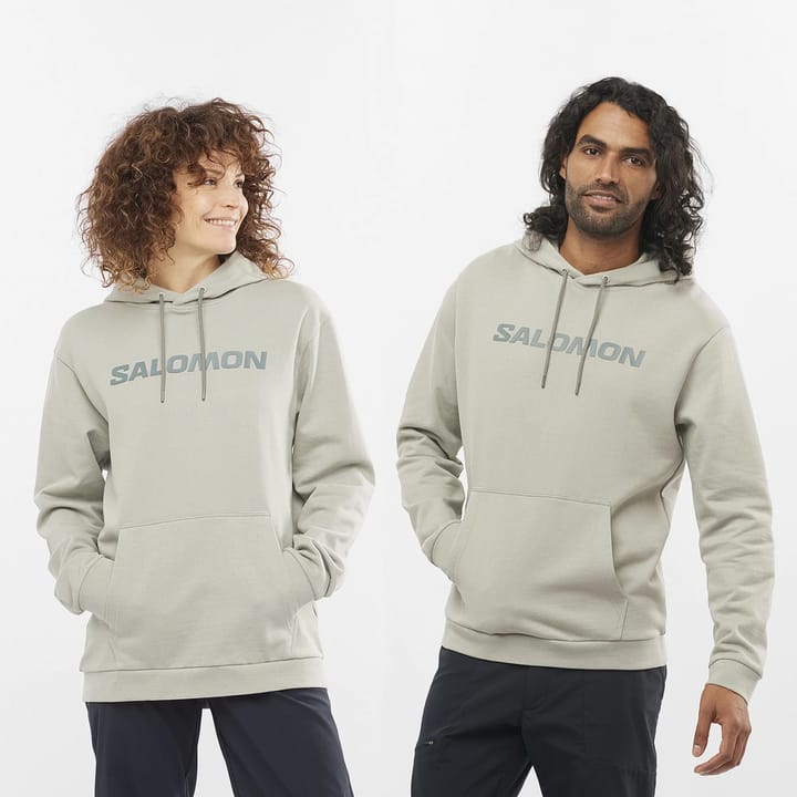 Salomon Unisex Outlife Logo Winter Hoody Wrought Iron/Sedona Sage Salomon Salomon Unisex Outlife Logo Winter Hoody Wrought Iron/Sedona Sage Salomon