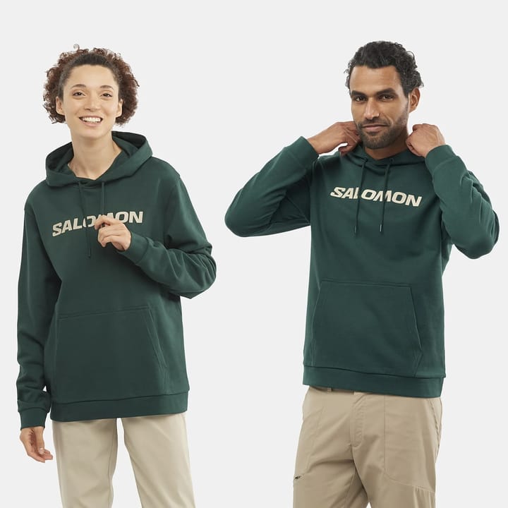 Salomon OUTLIFE LOGO WINTER HOODY PONDEROSA PINE/PLAZA TAUPE/ Salomon Salomon OUTLIFE LOGO WINTER HOODY PONDEROSA PINE/PLAZA TAUPE/ Salomon