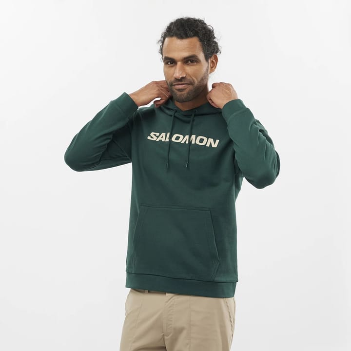 Salomon OUTLIFE LOGO WINTER HOODY PONDEROSA PINE/PLAZA TAUPE/ Salomon Salomon OUTLIFE LOGO WINTER HOODY PONDEROSA PINE/PLAZA TAUPE/ Salomon