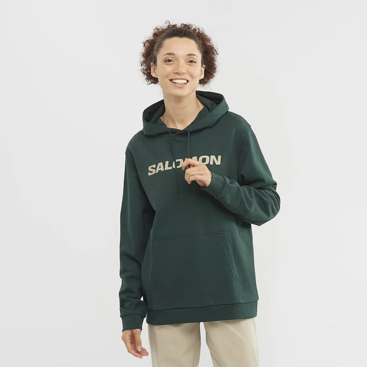 Salomon OUTLIFE LOGO WINTER HOODY PONDEROSA PINE/PLAZA TAUPE/ Salomon Salomon OUTLIFE LOGO WINTER HOODY PONDEROSA PINE/PLAZA TAUPE/ Salomon