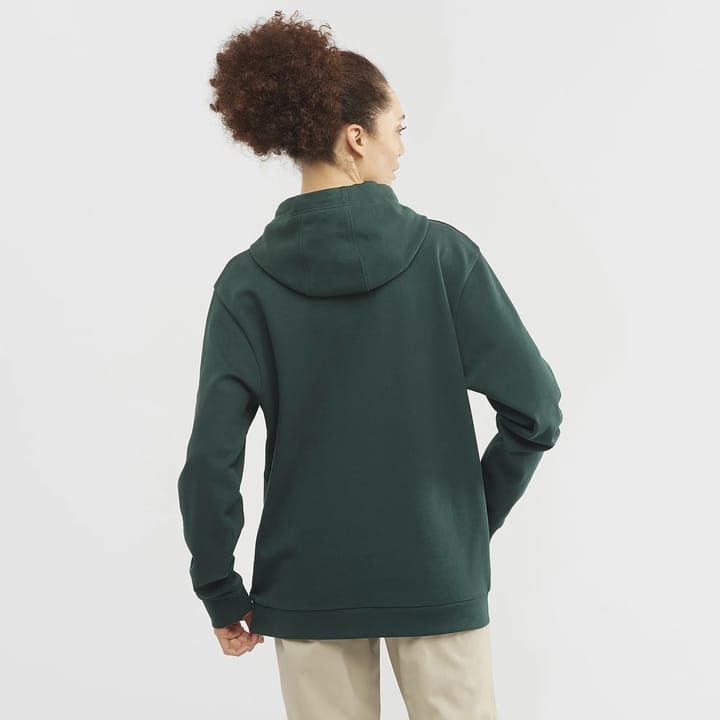 Salomon OUTLIFE LOGO WINTER HOODY PONDEROSA PINE/PLAZA TAUPE/ Salomon Salomon OUTLIFE LOGO WINTER HOODY PONDEROSA PINE/PLAZA TAUPE/ Salomon