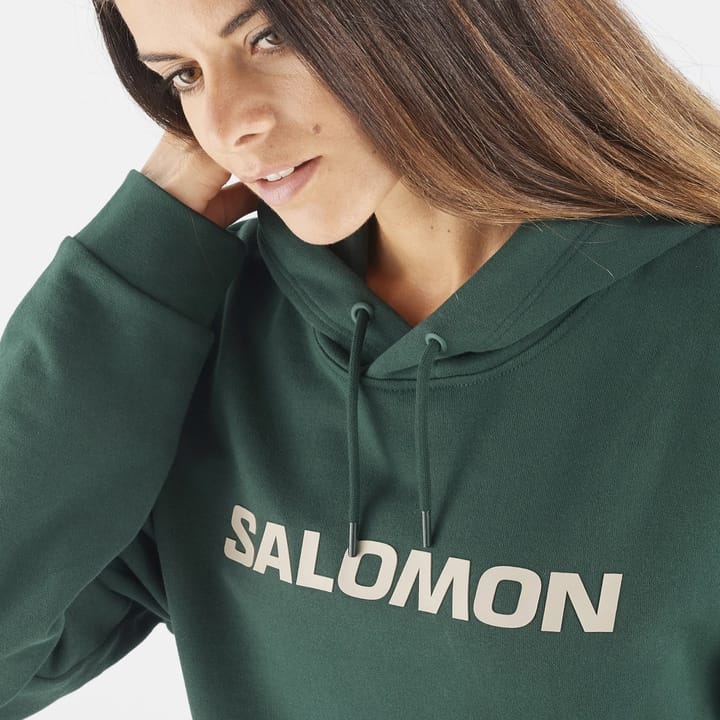 Salomon Outlife Logo Winter Hoody Ponderosa Pine/Plaza Taupe/ Salomon
