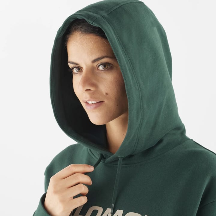 Salomon OUTLIFE LOGO WINTER HOODY PONDEROSA PINE/PLAZA TAUPE/ Salomon Salomon OUTLIFE LOGO WINTER HOODY PONDEROSA PINE/PLAZA TAUPE/ Salomon